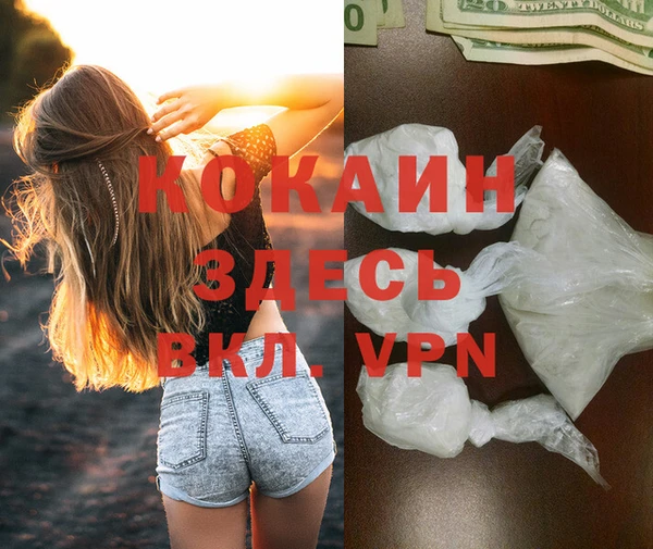 МДПВ Лиски